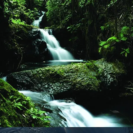 Towers & Leisure Centre Готель Кілларні