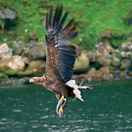Towers & Leisure Centre