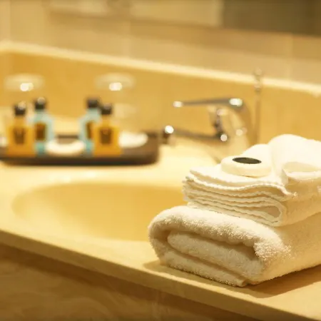 מלון Towers & Leisure Centre 4*